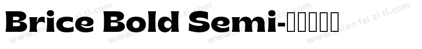 Brice Bold Semi字体转换